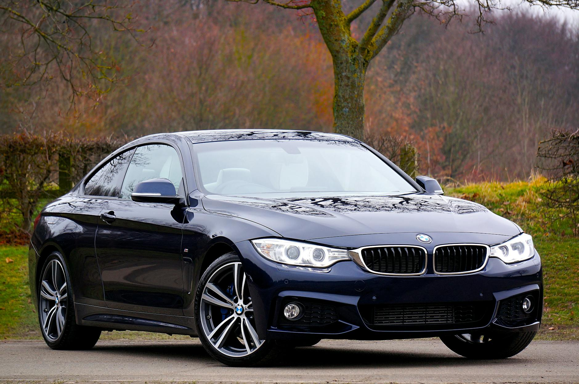 BMW Car